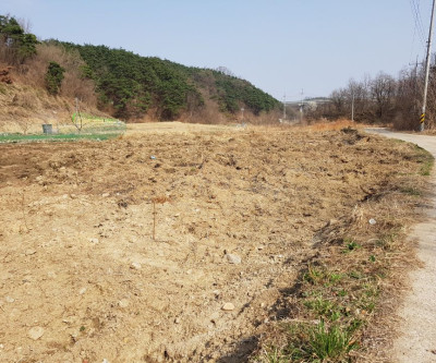 초전면 조용한 전원주택지매매 매물 이미지