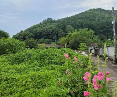 [급매] 가천면 창천리 대지 매물 이미지
