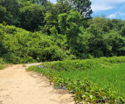 급 산자락텃밭쉼터주택지 매물 이미지
