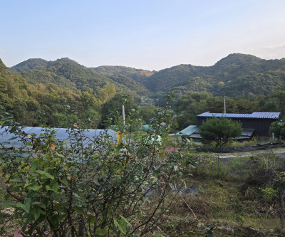 텃밭 + 창고매매 매물 이미지