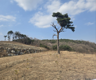 초급매 전망.공기굿굿 매물 이미지
