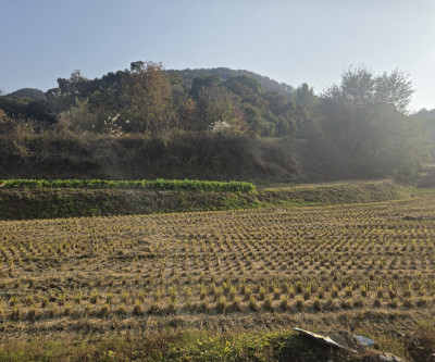 급 선남면 주말농장 텃밭 주택지 매물 이미지