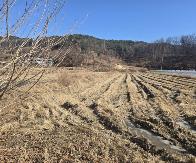 햇살가득토지매매 매물 이미지