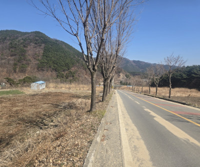 가야산자락 KTX역사 인근토지 매물 이미지