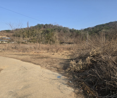 햇살가득한 조용한텃밭 매물 이미지