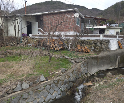 청정지역.1급공기 산골주택.밭이공짜. 매물 이미지