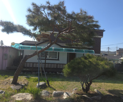 성주대교5분 전원주택지 쉼터텃밭 매물 이미지